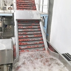 Industrial Automatic Tomato Processing Line For Pizza Sauce Making