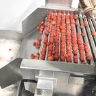 Industrial Automatic Tomato Processing Line For Pizza Sauce Making