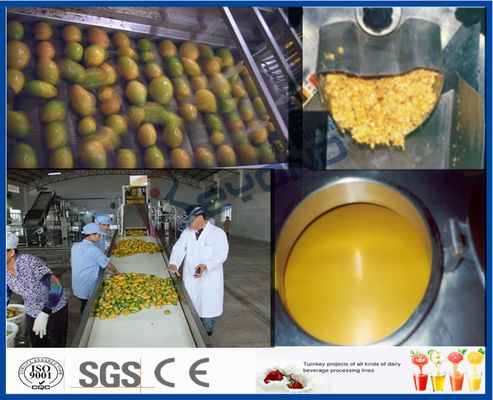 Mango Selüloz İşleme Makineleri Aseptik Paketleme Makinası ile Mango İşleme Hattı