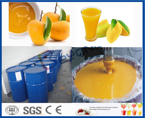 Meyve İşleme Makinası Meyve Suyu İşleme Tesisi için Mango İşleme Hattı