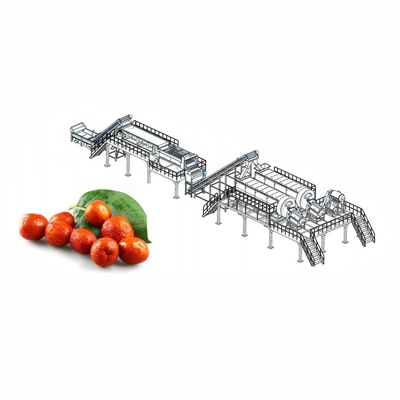 Endüstriyel Nar Suyu Üretim Hattı 2 - 50T / H Nar Suyu Yapma Ekipmanları