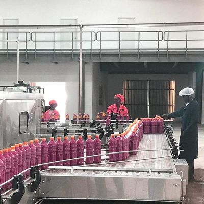 SUS304 Domates Salçası Yapımı İçin Otomatik Domates İşleme Hattı